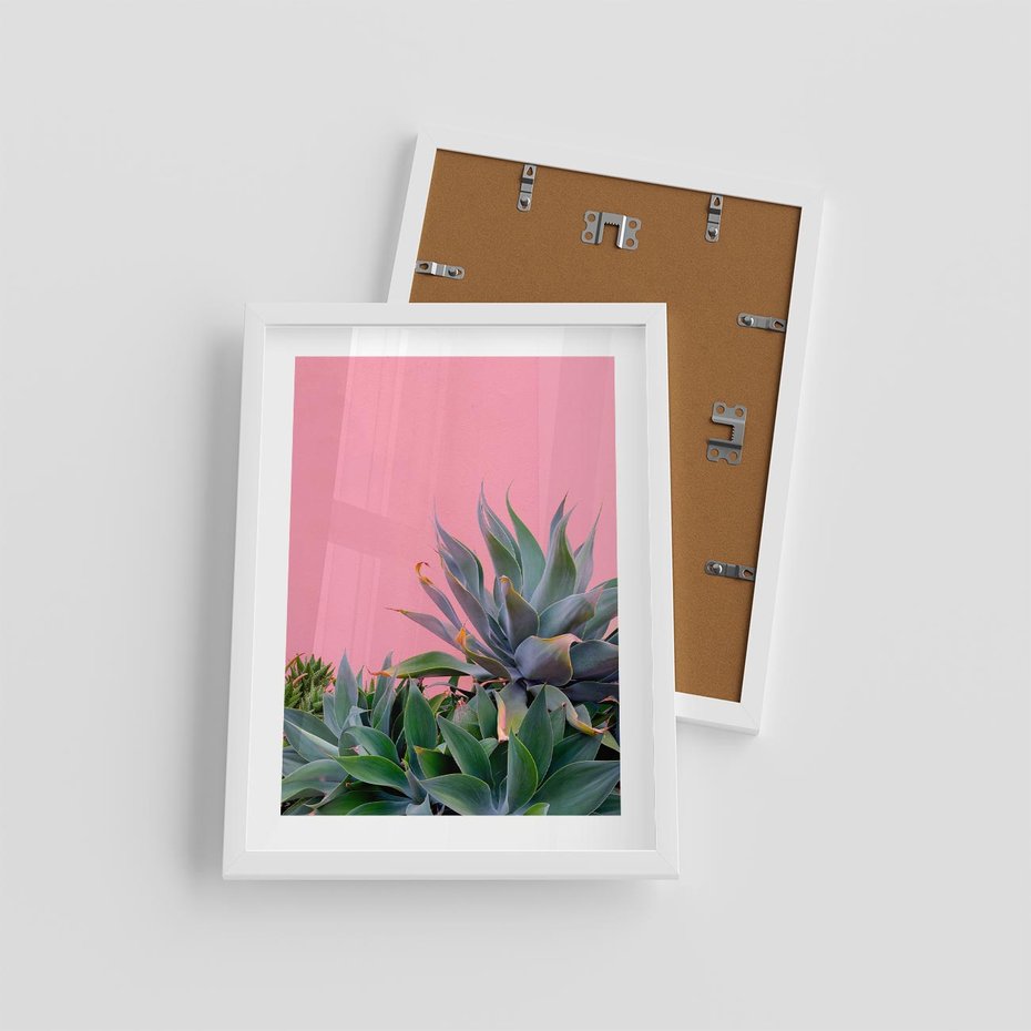 Plakat w ramie 30x40 - Tropikalne Liście na Różowej Ścianie - różowa ściana, tropikalne liście na jej tle - rama biała
