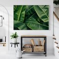 Obraz w ramie 70x50 - Zaklęta roślinna ekspresja - liście bananowca, gęsto ułożone - rama biała