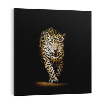 Obraz na płótnie 40x40 - Elegancja lamparta - lampart, pantera
