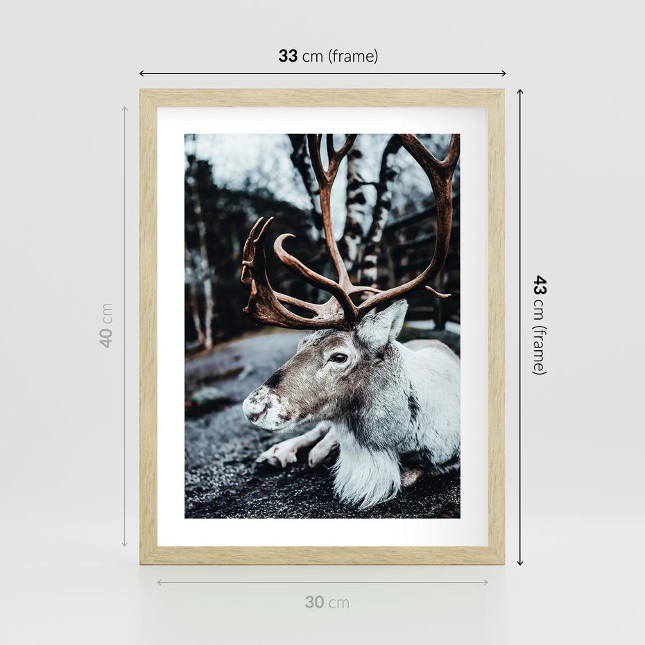 Plakat w ramie 30x40 - W Zimowej Krainie - renifer, zima - rama drewno