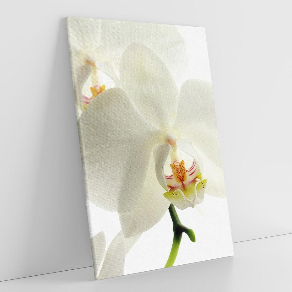 Obraz na płótnie 80x120 - Kwiatowe piękno - kwiat, kwiaty