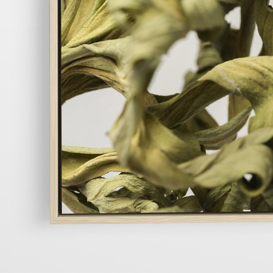 Obraz w ramie 80x80 - Odejście pory deszczowej - suche, trawy - rama drewno