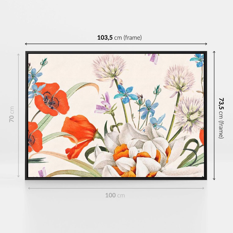 Obraz w ramie 100x70 - Polne Kwiaty - polne kwiaty, na białym tle - rama czarna