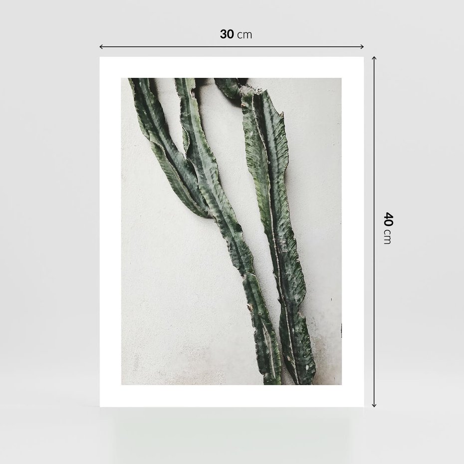 Plakat bez ramy 30x40 - Zielona Roślina z Liśćmi - zielona roślina, liście