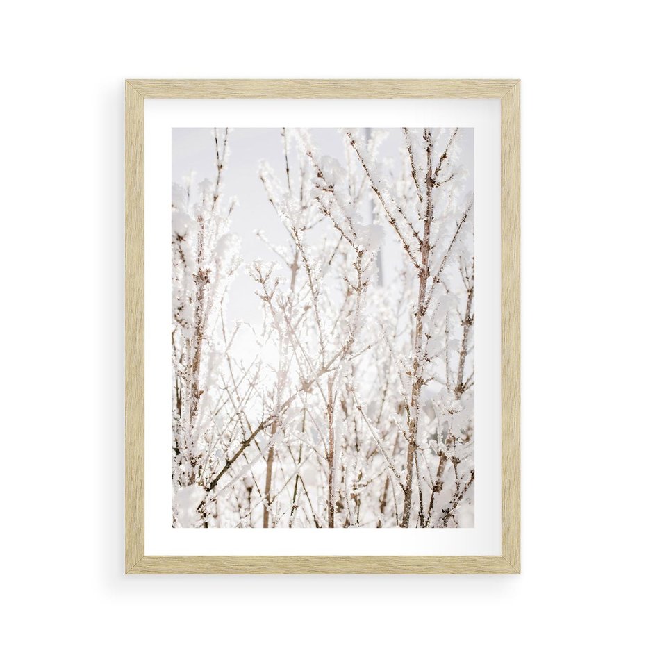 Plakat w ramie 40x50 - Szron na Gałęziach - ośnieżone gałązki, szron na gałęziach - rama drewno