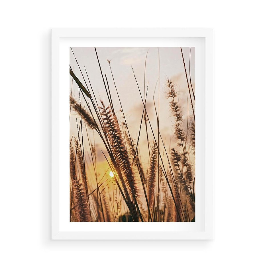 Plakat w ramie 50x70 - Malownicza Łąka z Trawam - trawy, łąka - rama biała