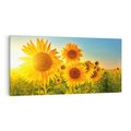 Obraz na płótnie 120x60 - kolorowe promienie - słoneczniki, kwiaty