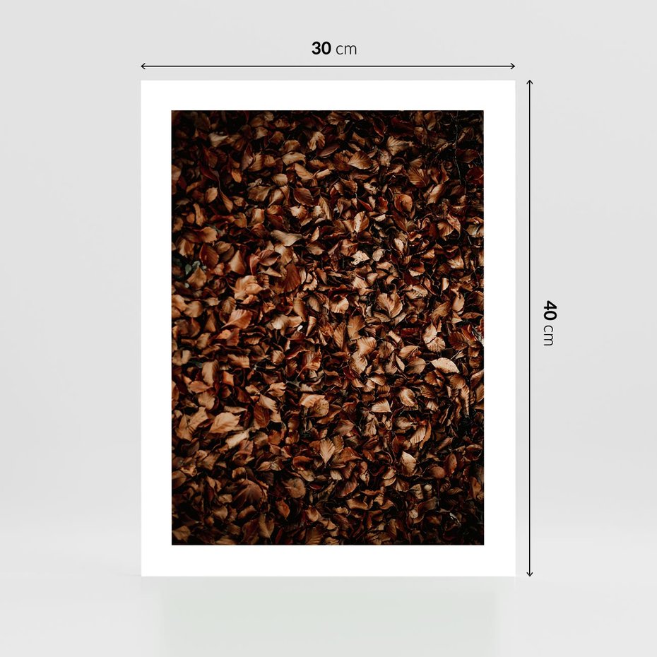 Plakat bez ramy 30x40 - Jesienny Dywan - dywan z suchych liści, jesień