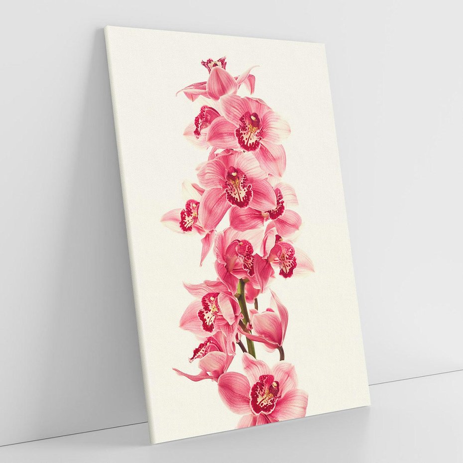 Obraz na płótnie 80x120 - Orchidea w spa - relaks - orchidea, spa