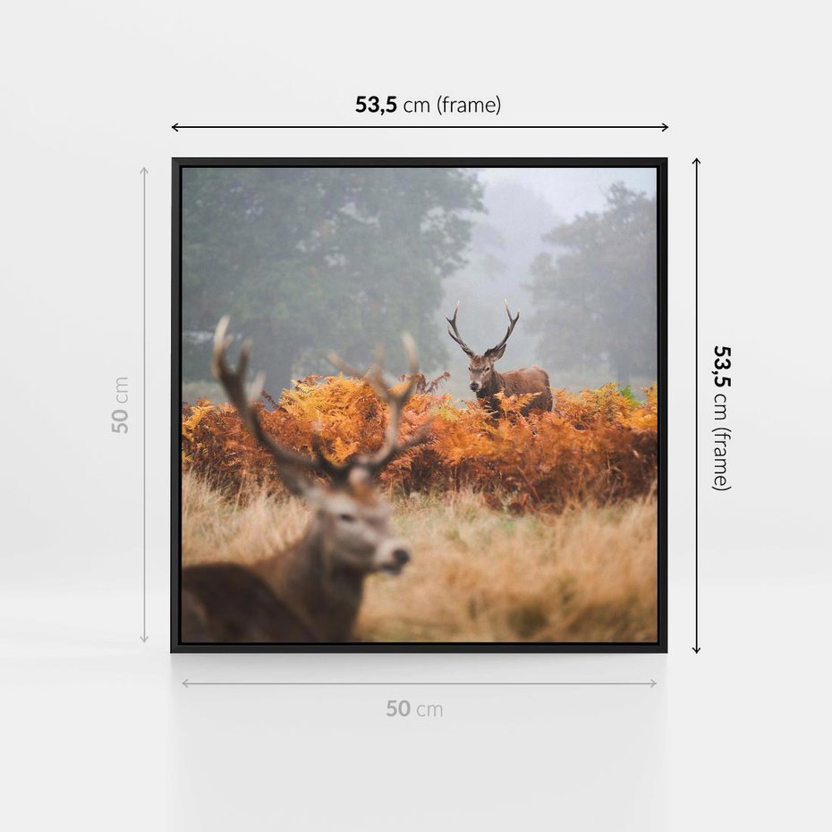 Obraz w ramie 50x50 - Malownicza Harmonia - jelenie, jesień - rama czarna