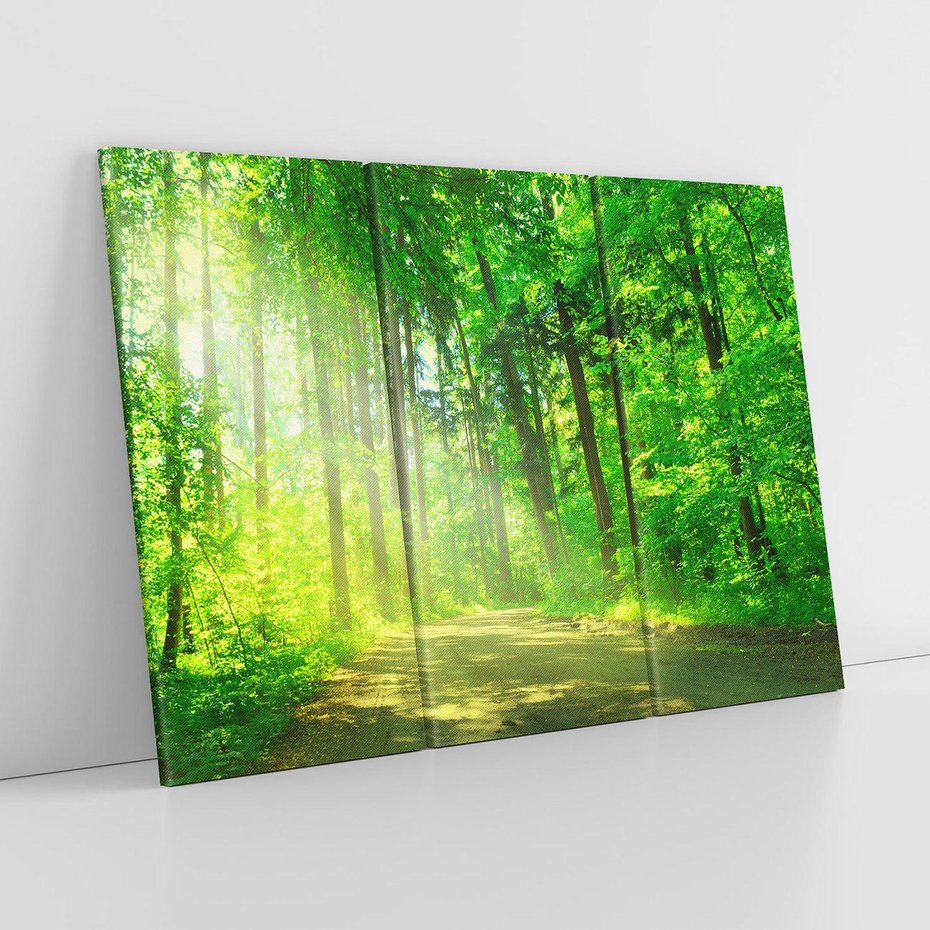 Obraz na płótnie 120x80 - Urok lasu na drodze - las, drzewa