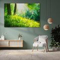 Obraz na płótnie 70x50 - Urok natury - magiczny las na płótnie - las, trawa