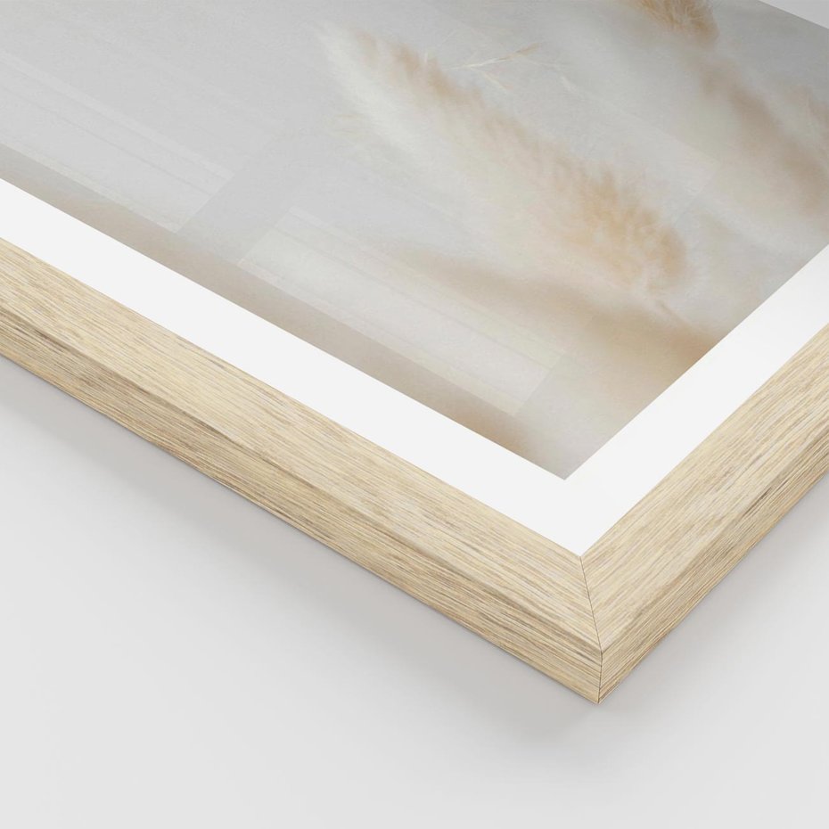 Plakat w ramie 30x40 - Biały Spokój - białe trawy, suche trawy pampas - rama drewno