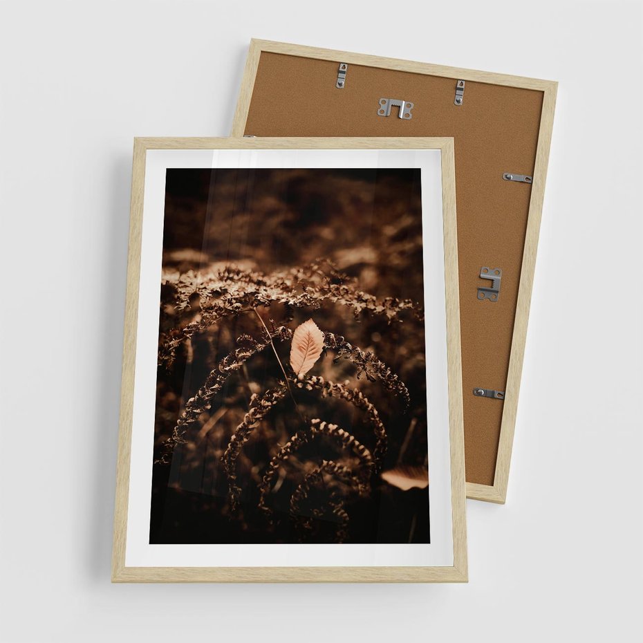 Plakat w ramie 50x70 - Gałęzie i Liść w Brązowej Tonacji - suche gałęzie, liść - rama drewno