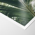 Plakat bez ramy 21x30 - Tropikalne Uroki: Palmy i Zielone Liście - palmy, zielone liście
