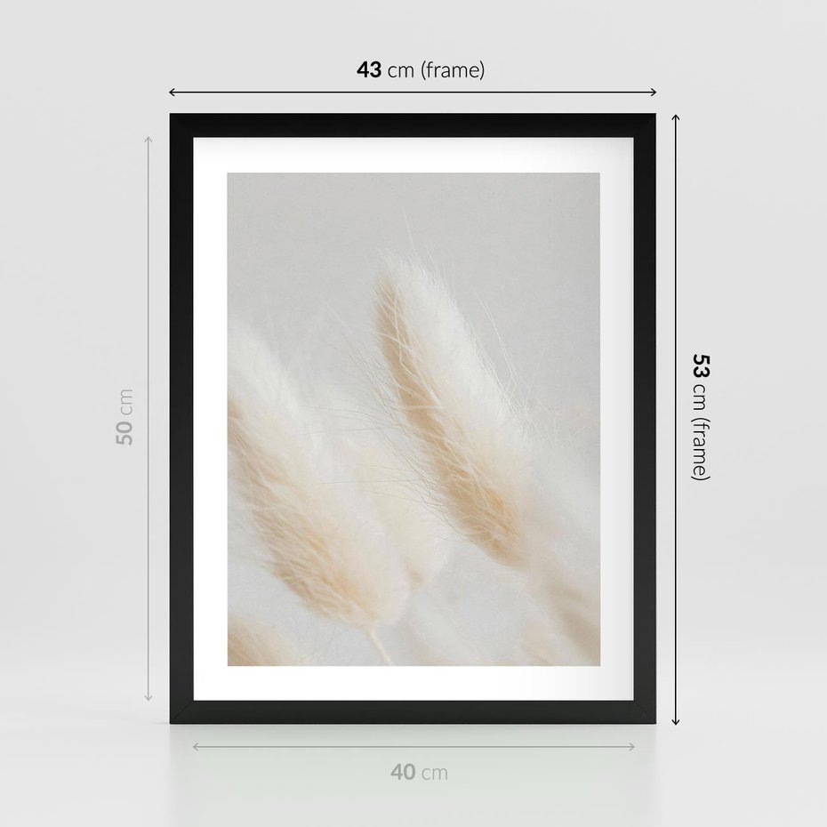 Plakat w ramie 40x50 - Czysty Minimalizm - białe trawy, minimalizm - rama czarna