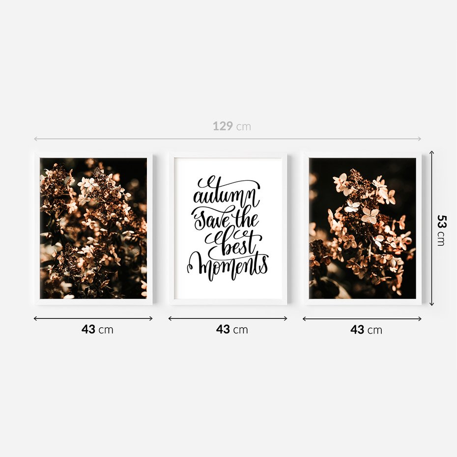 Zestaw obrazy w ramie 40x50 galeria - Hortensja, kwiaty, suche, cytat - rama biała