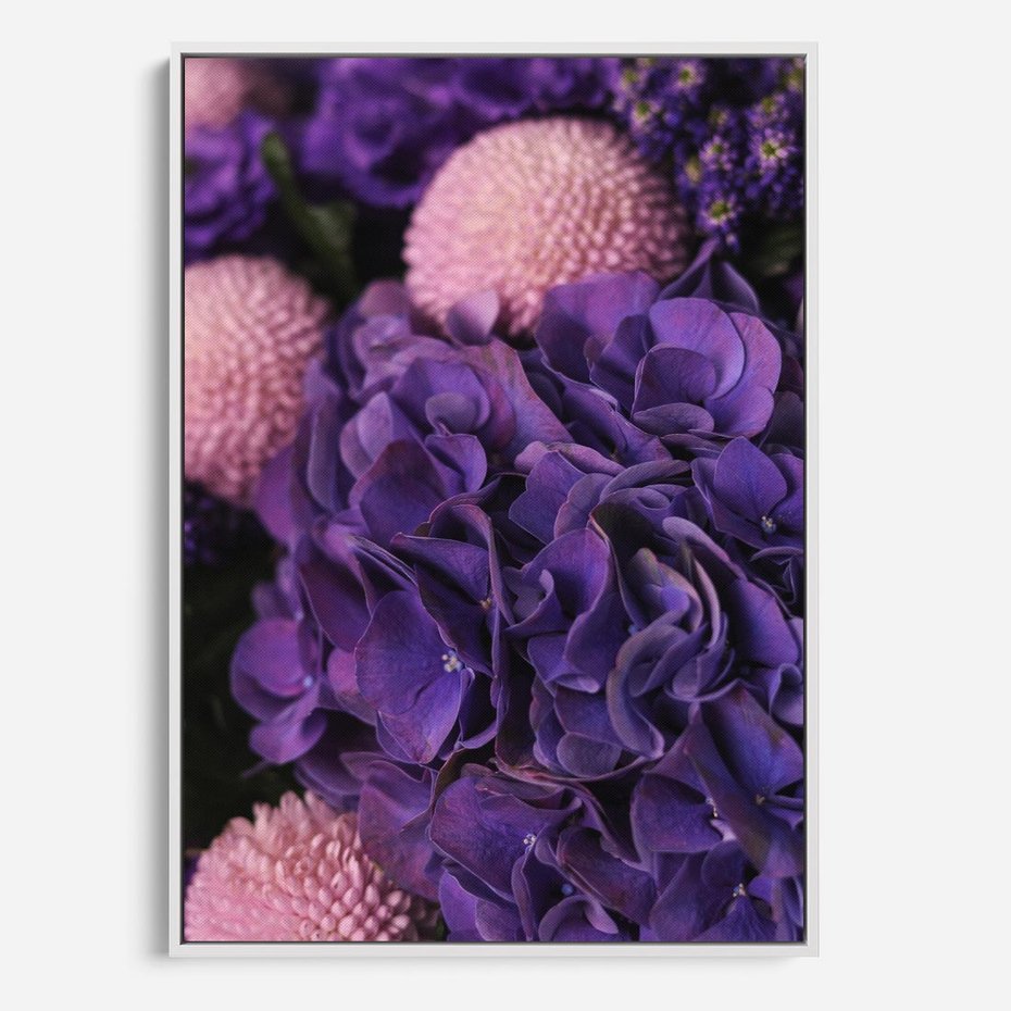 Obraz w ramie 80x120 - Fioletowa hortensja - kwiaty, hortensja - rama biała