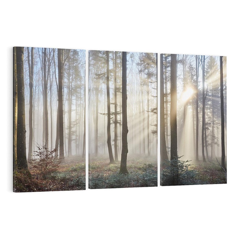 Obraz na płótnie 120x80 - Magiczne zaklęcie: Las pełen drzew - las, drzewa