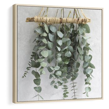 Obraz w ramie 80x80 - Uwodzicielska zieleń eukaliptusa - eukaliptus, zielone - rama drewno