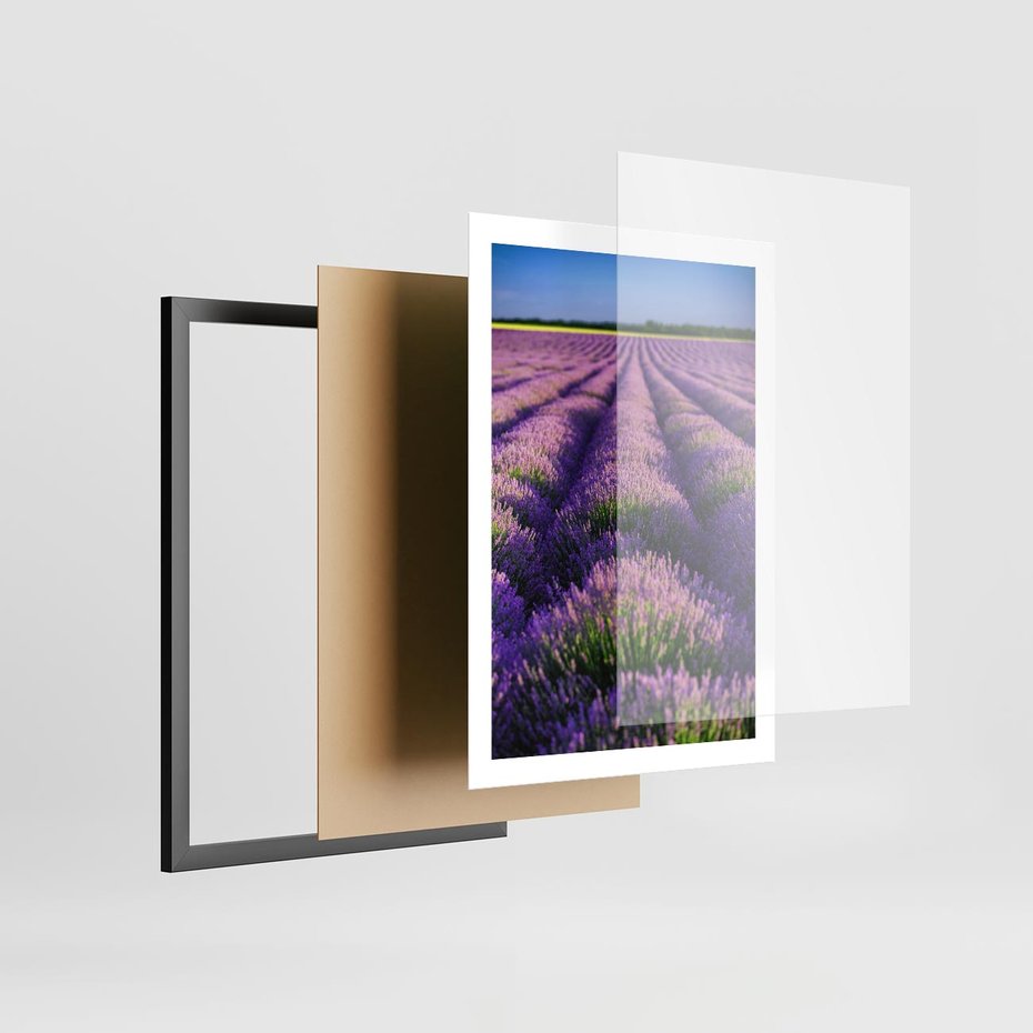 Plakat w ramie 50x70 - Malownicze Pole Lawendy - lawenda, pole - rama czarna