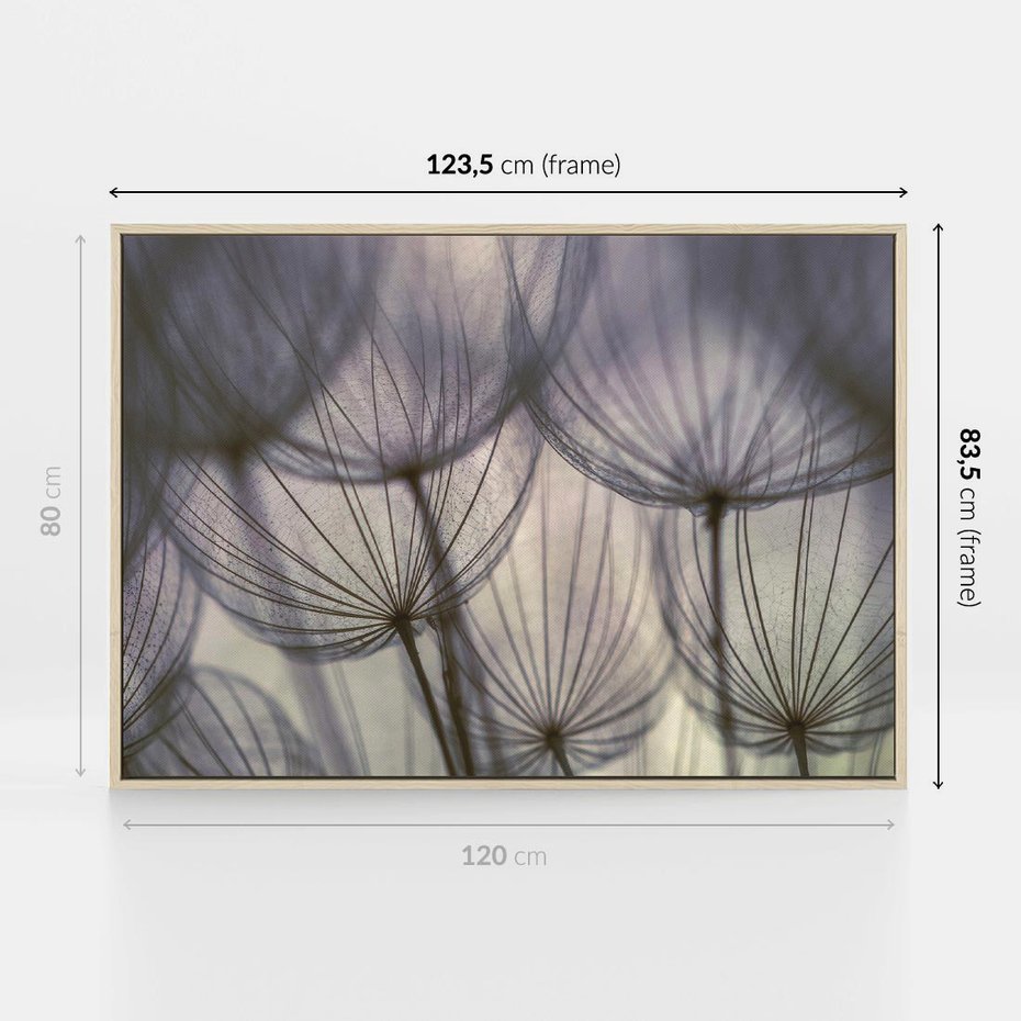 Obraz w ramie 120x80 - Makro dmuchawiec - piękno drobnych detali - dmuchawce, makro - rama drewno