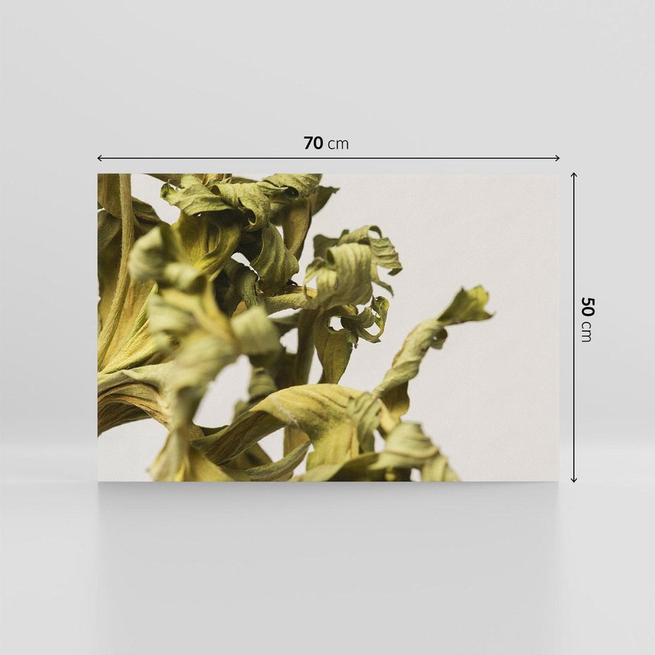 Obraz na płótnie 70x50 - Odejście pory deszczowej - suche, trawy