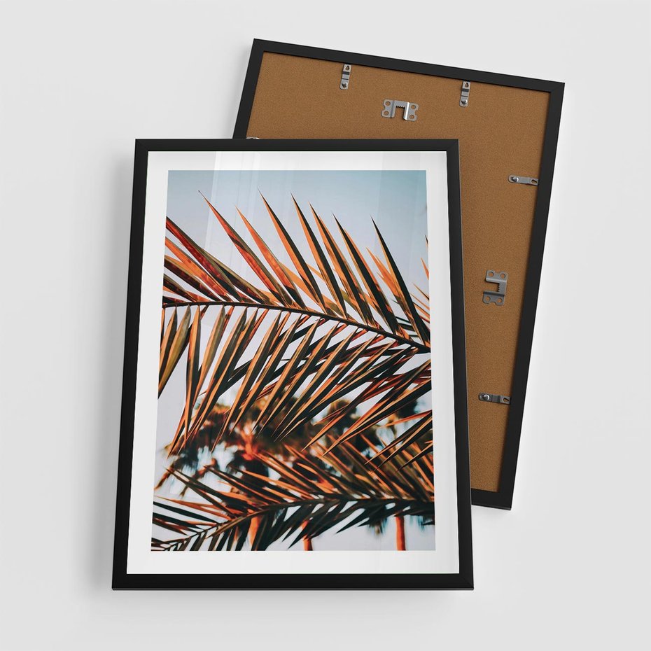 Plakat w ramie 50x70 - Tropikalna Harmonia - palma, liście palmy - rama czarna