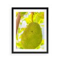 Plakat w ramie 40x50 - Tropikalny raj nad morzem - tropikalny, owoc - rama czarna
