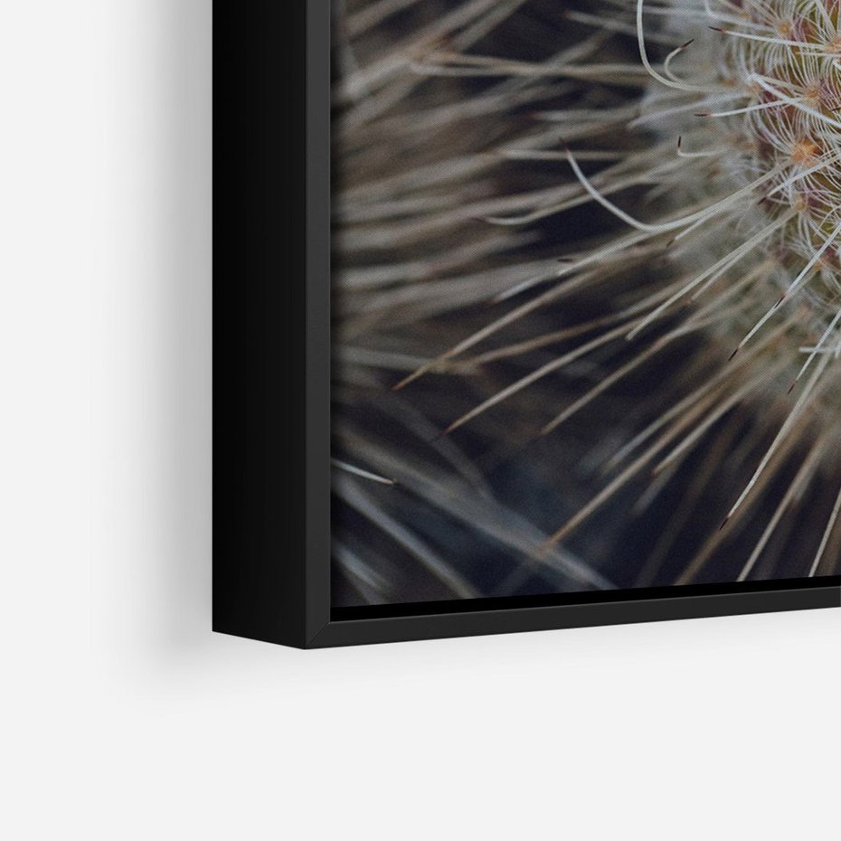 Obraz w ramie 50x70 - Ulotna Piękność Natury - makro, dmuchawce - rama czarna