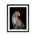 Plakat w ramie 40x50 - Elegancja Jaguarowej Pantery - jaguar, pantera - rama czarna