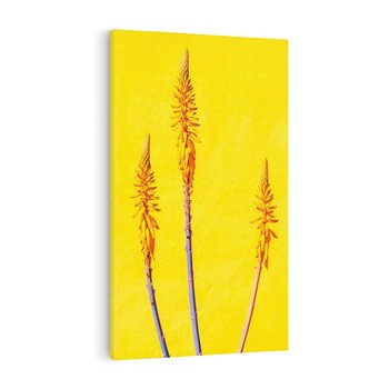 Obraz na płótnie 50x70 - Radość Natury - kolor, kwiaty