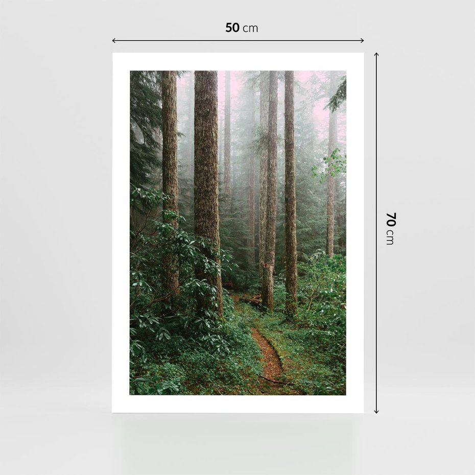 Plakat bez ramy 50x70 - Mgliste Marzenia - artystyczna fotografia, las