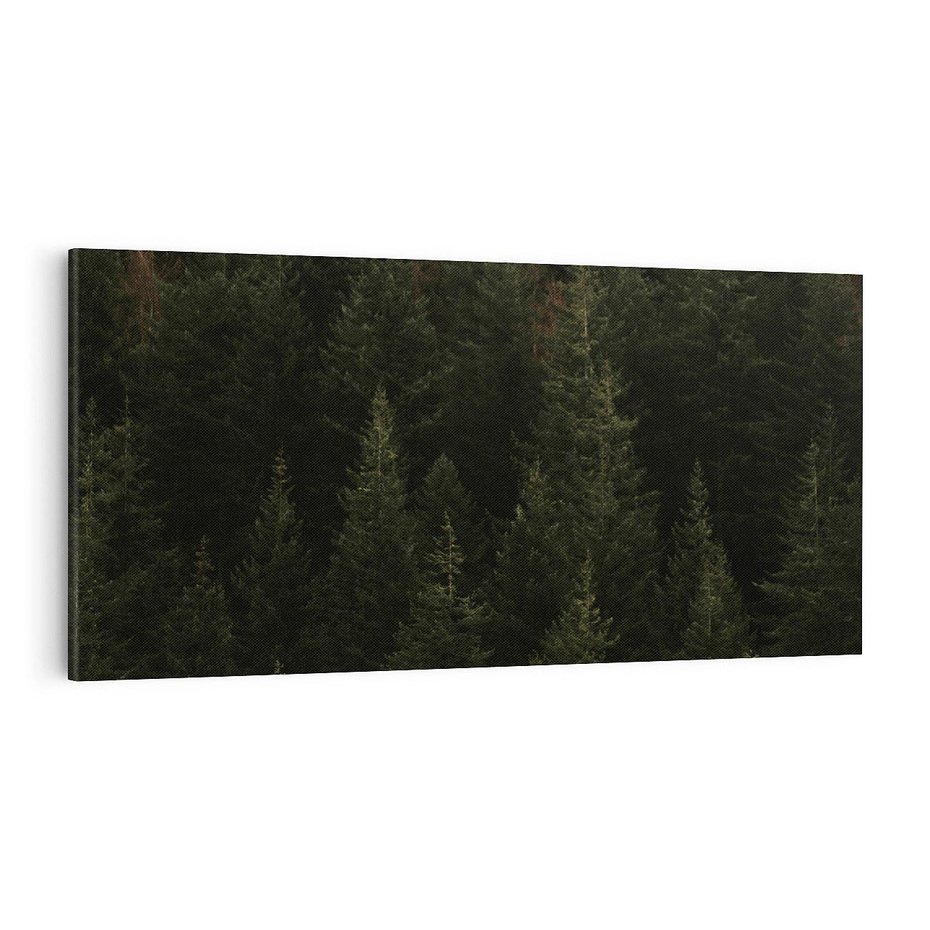 Obraz na płótnie 100x50 - Ciemny las iglasty - las, iglasty