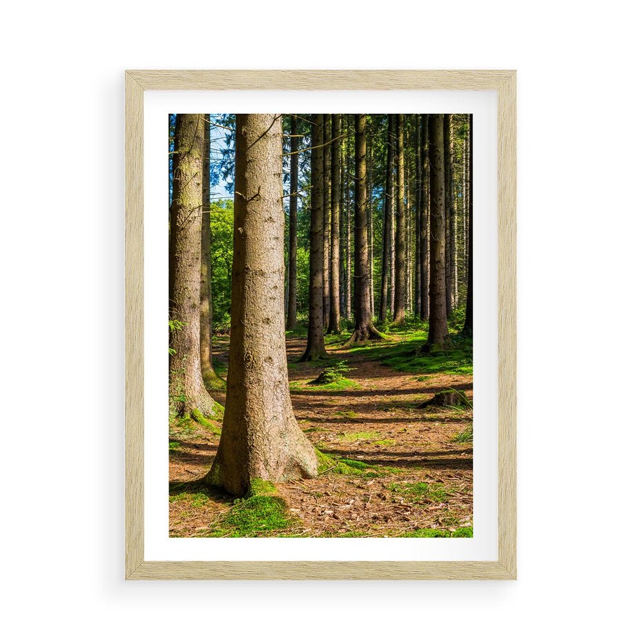 Plakat w ramie 50x70 - Las: harmonia natury - las, drzewa - rama drewno