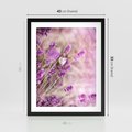 Plakat w ramie 40x50 - Majestat lawendy: fioletowe pola - lawenda, fiolet - rama czarna
