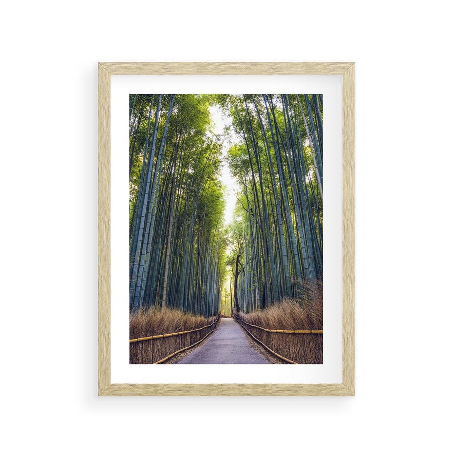 Plakat w ramie 30x40 - Urokliwa dróżka w lesie - las, dróżka - rama drewno