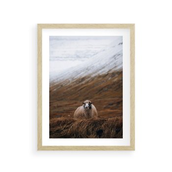 Plakat w ramie 30x40 - Owiecka panorama - góry, owca - rama drewno