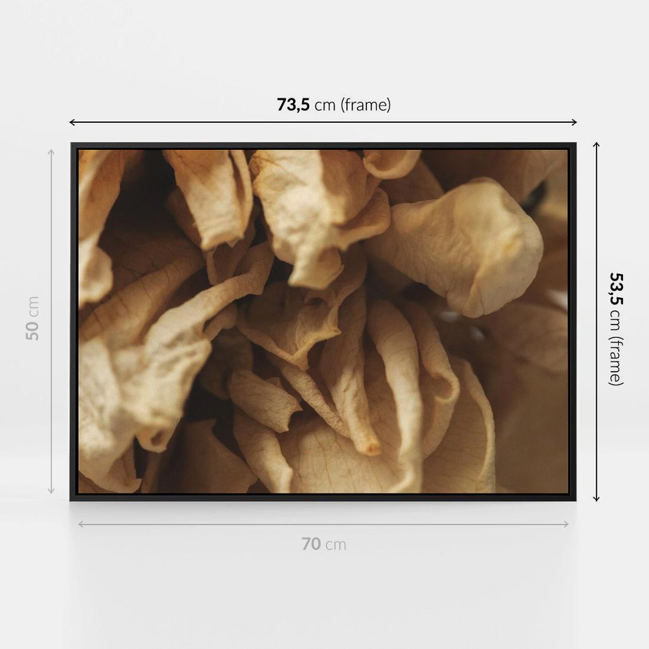 Obraz w ramie 70x50 - Zjawiskowe zasuszone kwiaty - zasuszone, kwiaty - rama czarna