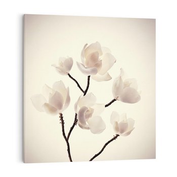Obraz na płótnie 50x50 - Elegancja Natury - magnolia, białe
