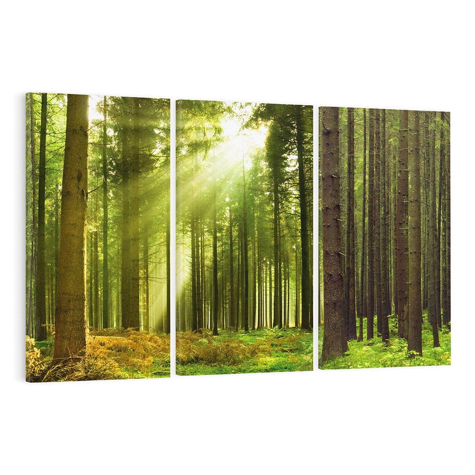 Obraz na płótnie 120x80 - Spokój wśród drzew: las w odcieniach zieleni - las, drzewa
