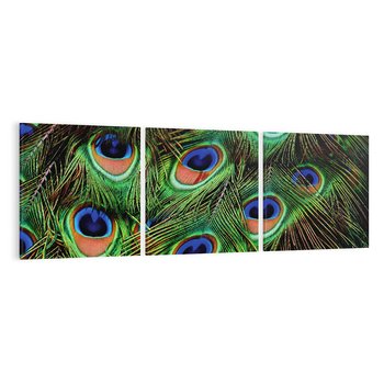 Obraz na płótnie 90x30 - Pawi Ogon - Piękno i Wspaniałość - paw, pióra