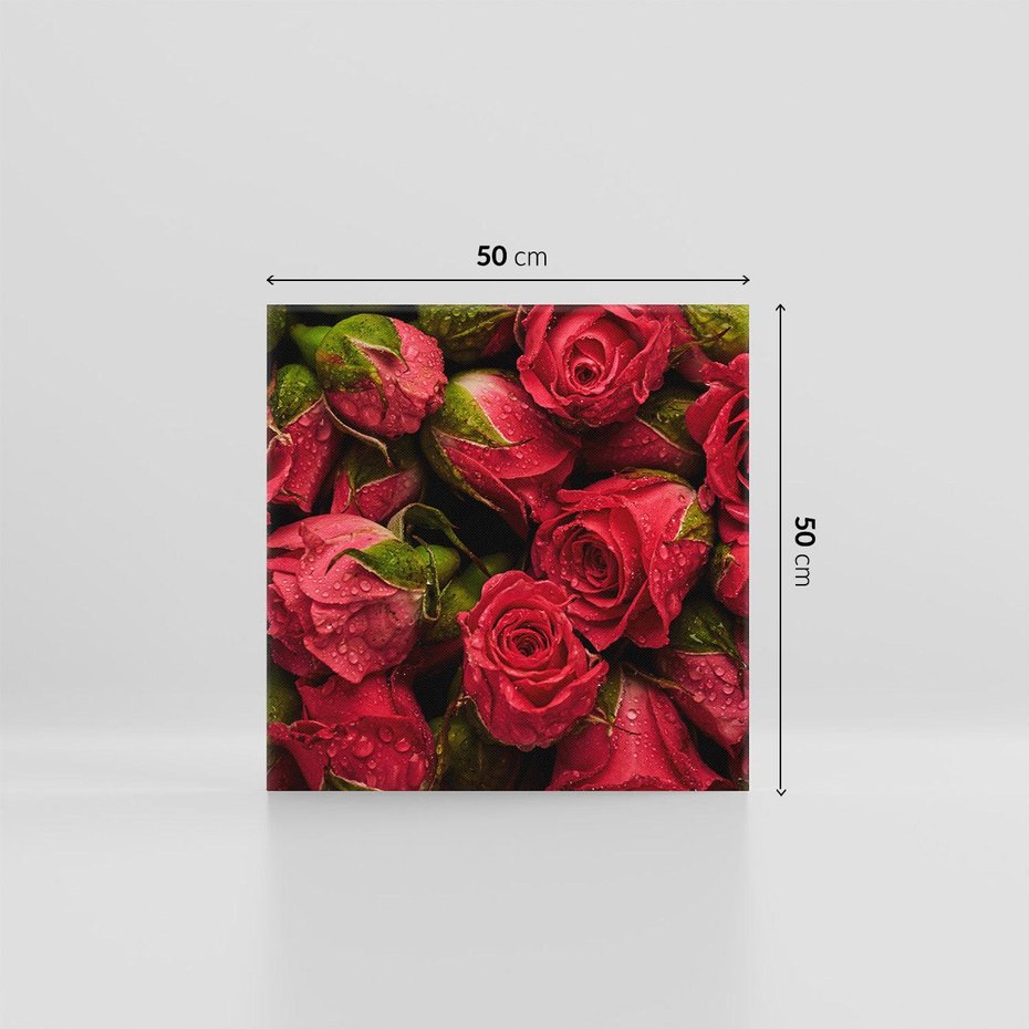 Obraz na płótnie 50x50 - Piękno róż: delikatność natury - róże, kwiaty