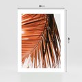 Plakat bez ramy 30x40 - Słońce na Palmie - palma, promienie słońca