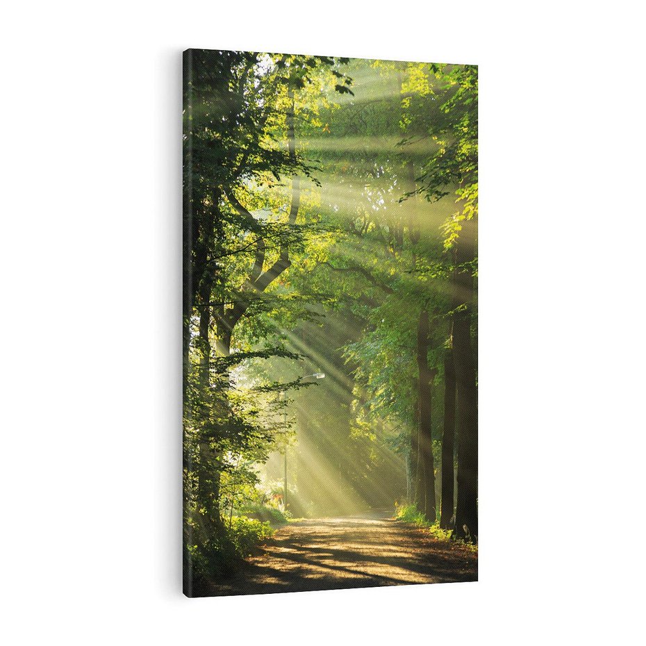 Obraz na płótnie 70x100 - harmonia natury - las, drzewa