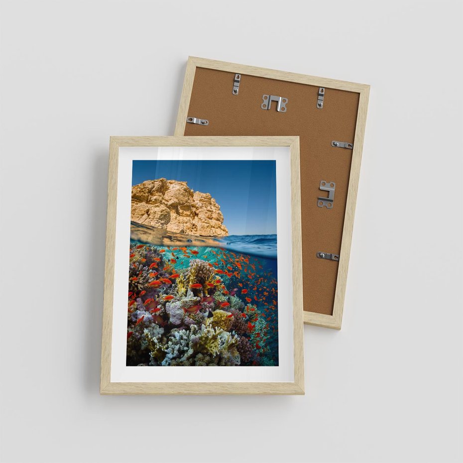 Plakat w ramie 30x40 - Rafa koralowa w oceanie - rafa, koralowa - rama drewno