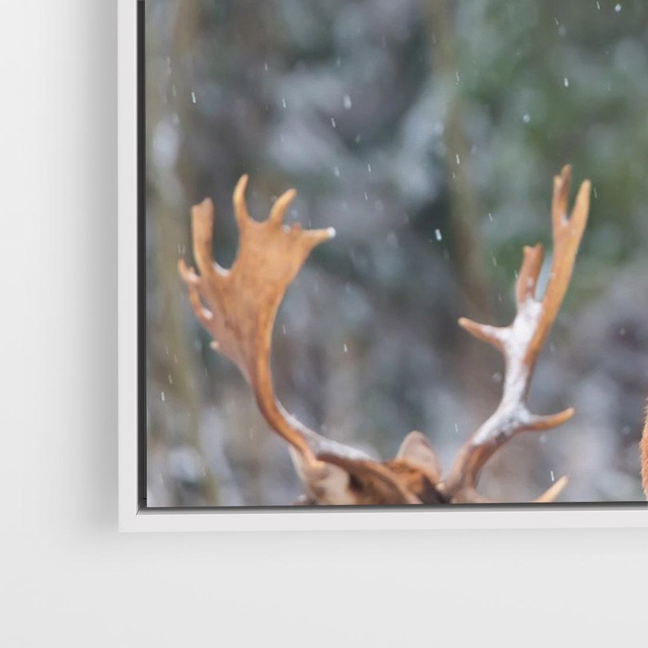 Obraz w ramie 100x70 - Monarcha Zimowej Dziczy - jeleń, zima - rama biała