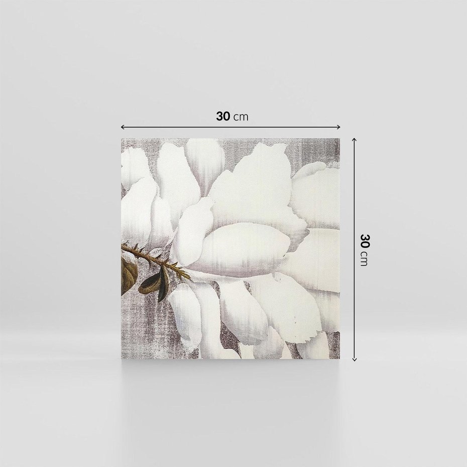 Obraz na płótnie 30x30 - Tekstura Kwiatu - białe kwiaty, duży kwiat