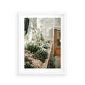 Plakat w ramie 30x40 - Sukulenty w Szklarni - sukulenty, w szklarni - rama biała