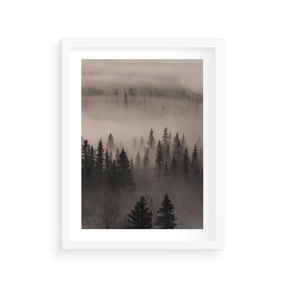 Plakat w ramie 30x40 - Mglista Opowieść Lasu - las, mgła - rama biała